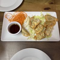 Dumplings/ gyoza   at Siam Orchid in Bar Harbor