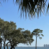 View from the patio  at The Slippery Mermaid Sushi Bar in Navarre