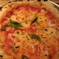  at Plant Base in Lisbon