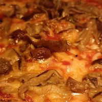  at Plant Base in Lisbon