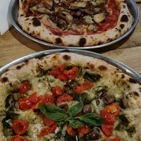  at Plant Base in Lisbon