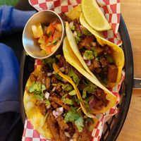  at Plant Base in Lisbon