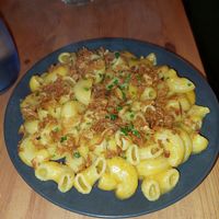  at Plant Base in Lisbon