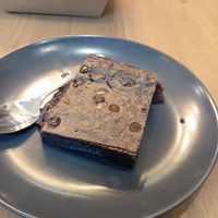 Brownie at Plant Base in Lisbon