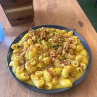   at Plant Base in Lisbon