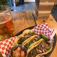   at Plant Base in Lisbon