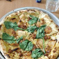  at Plant Base in Lisbon