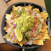  at Plant Base in Lisbon