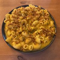   at Plant Base in Lisbon