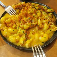  at Plant Base in Lisbon