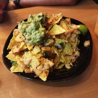  at Plant Base in Lisbon