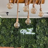 location  at Plant Base in Lisbon