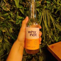 Why not soda at Plant Base in Lisbon