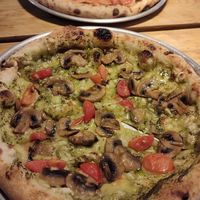  at Plant Base in Lisbon