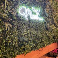 Logo  at Plant Base in Lisbon