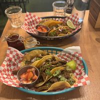   at Plant Base in Lisbon