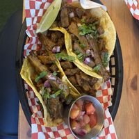   at Plant Base in Lisbon