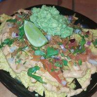  at Plant Base in Lisbon