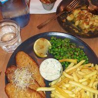  at Plant Base in Lisbon