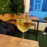 Green wine at Plant Base in Lisbon