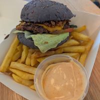  at Plant Base in Lisbon