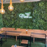   at Plant Base in Lisbon