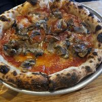   at Plant Base in Lisbon