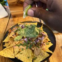   at Plant Base in Lisbon