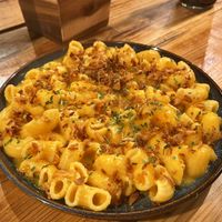   at Plant Base in Lisbon