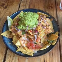   at Plant Base in Lisbon