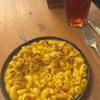   at Plant Base in Lisbon