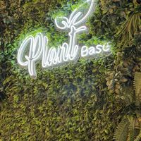   at Plant Base in Lisbon