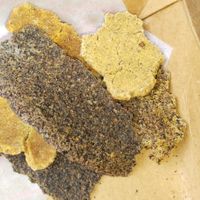 Vegan Nuggets of different seeds flour  at Surya Cafe and Concepts in New Delhi