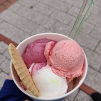 Zitronen-, Erdbeer- und Heidelbeereis at Strandloper Eiscafé in Norden