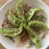Dumpings   at Bamboo in Exmouth