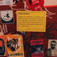 Puerta del baño at Cat Bar in Barcelona