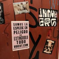 Pegatinas  at Cat Bar in Barcelona