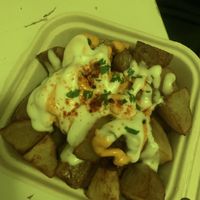 CatBar at Cat Bar in Barcelona