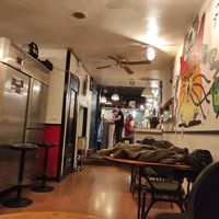 The bar at Cat Bar in Barcelona