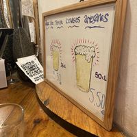 Vervets at Cat Bar in Barcelona