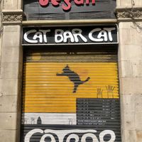Keep CatBar Open!  at Cat Bar in Barcelona