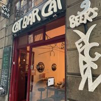   at Cat Bar in Barcelona