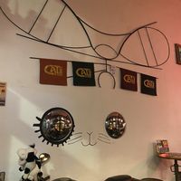 Meow  at Cat Bar in Barcelona