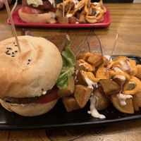   at Cat Bar in Barcelona