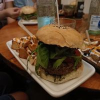  at Cat Bar in Barcelona