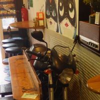 Cool for cats at Cat Bar in Barcelona