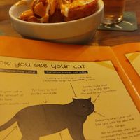  at Cat Bar in Barcelona