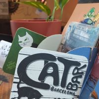  at Cat Bar in Barcelona