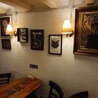  at Cat Bar in Barcelona