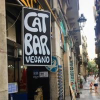 Cat bar bcn at Cat Bar in Barcelona